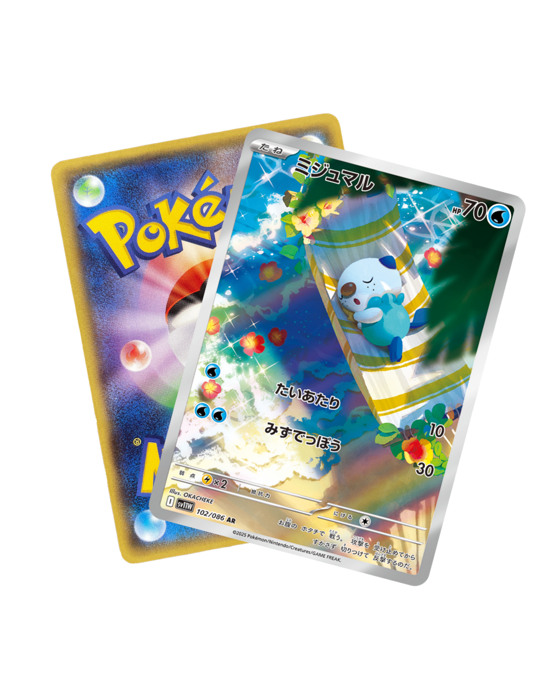 Pokémon Mystery Pack